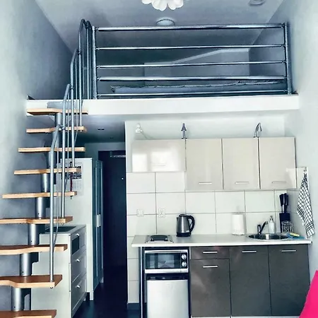 Apartament Orchidea New Slavia *